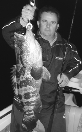 Fishing baits on the bottom will produce some really tasty cod like this ripper caught out from Caloundra.